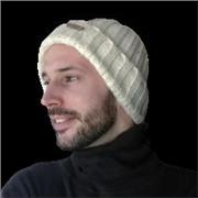 Mentor et professeur d'informatique général, programmation web et jeux vidéo !